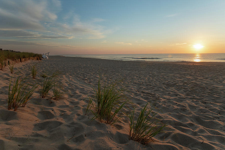 Beach Grass at Sunrise Photograph by Matthew DeGrushe