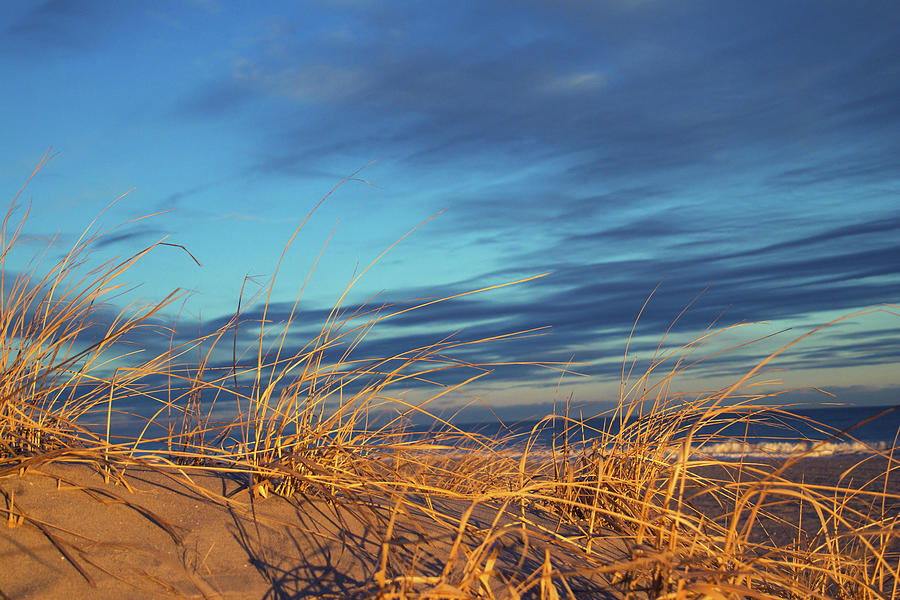 Sunset Photograph - Beach Grass by Seth Love