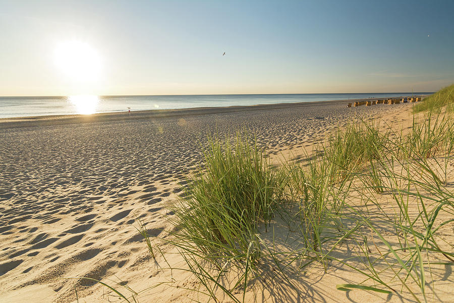 Beach Grass Sunset Photograph by Calado Art - Fine Art America