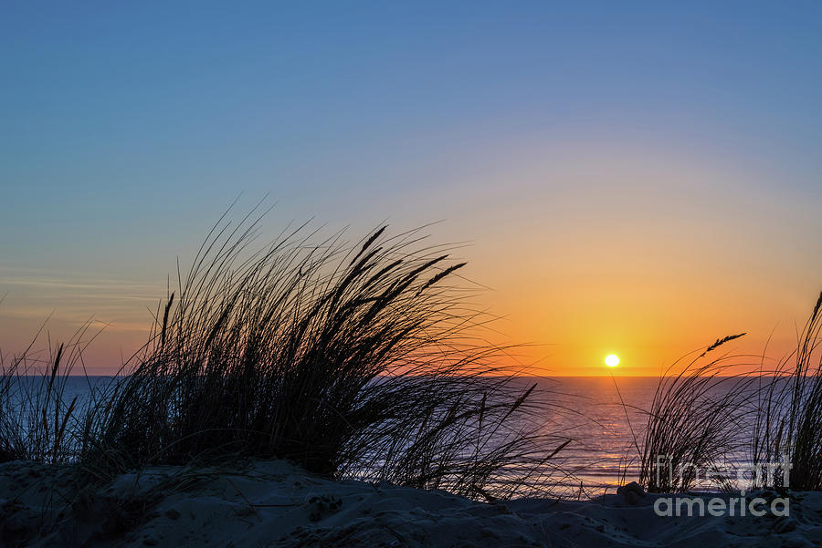 Beach grass sunset Photograph by Delphimages Photo Creations
