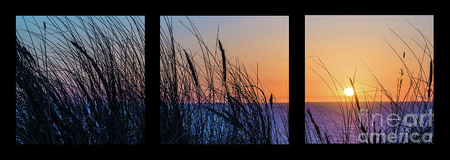 Beach grass sunset triptych Photograph by Delphimages Photo Creations