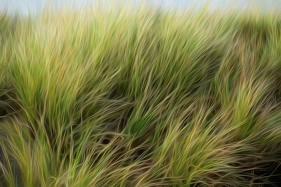 Beach Grass- Texture Or Background Digital Art