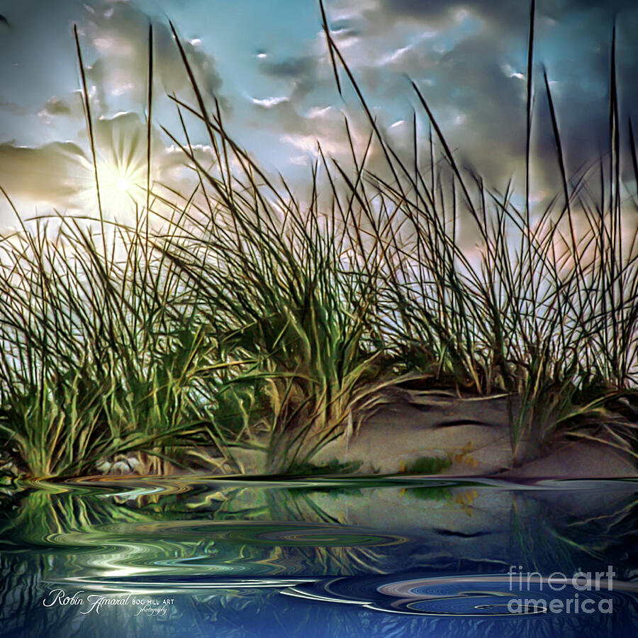 Beach Grass Waterscape Illustration Digital Art by Robin Amaral - Pixels