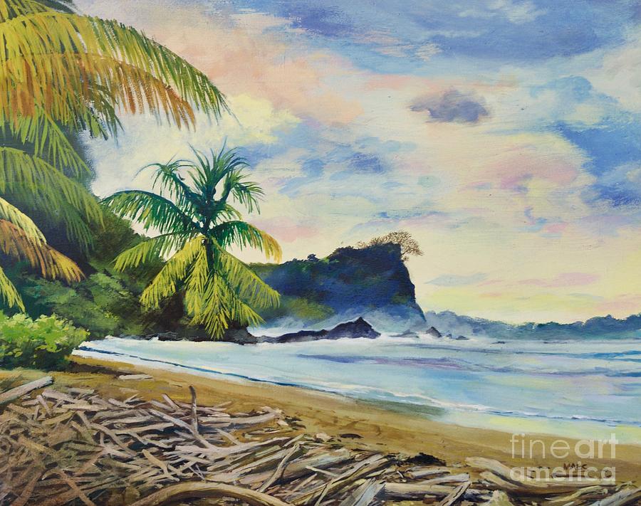 Beach in Costa Rica Painting by Walt Maes