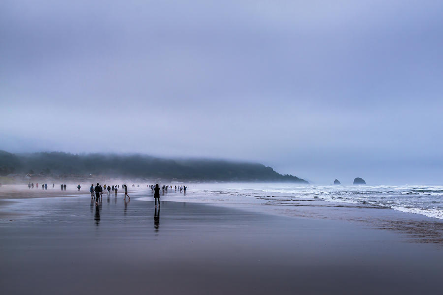 Beach Mist Photograph by David Patterson