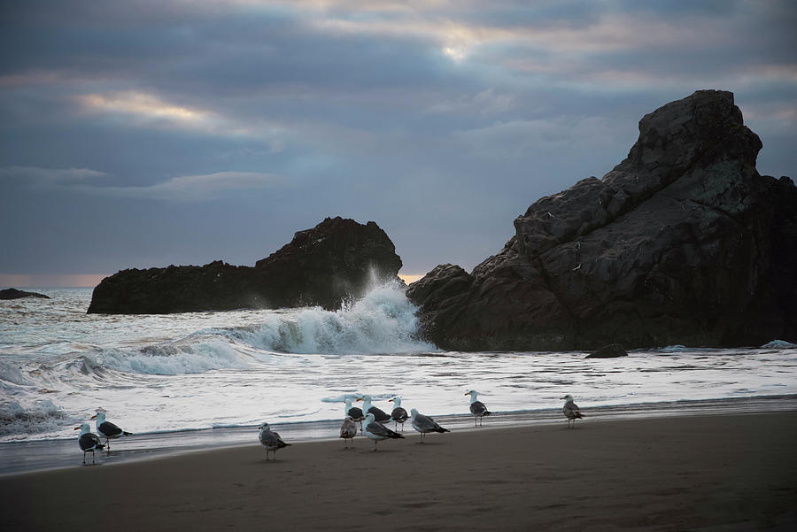 Beach Moments  Photograph by Steven Clark