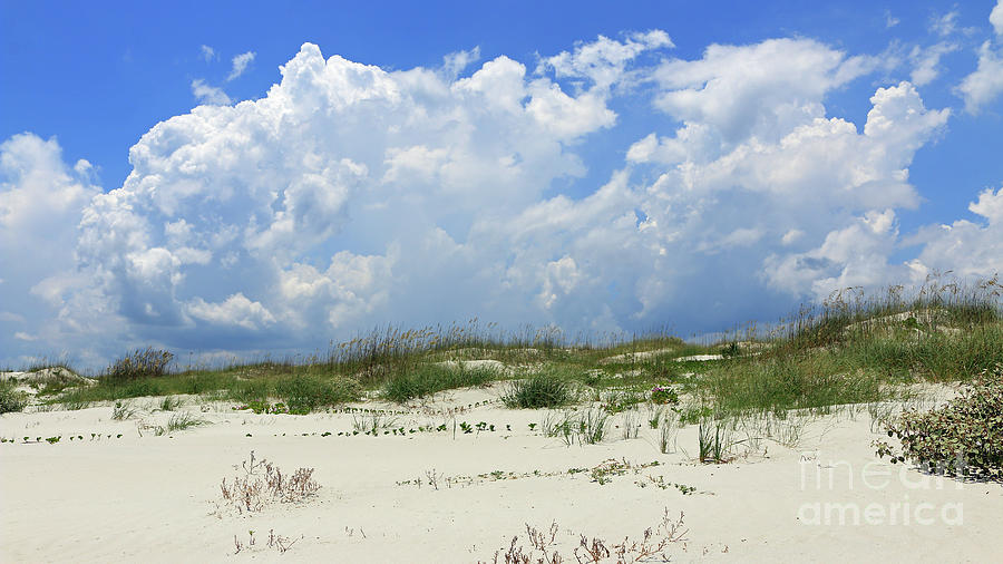 Beach Nature Photograph by Mary Haber