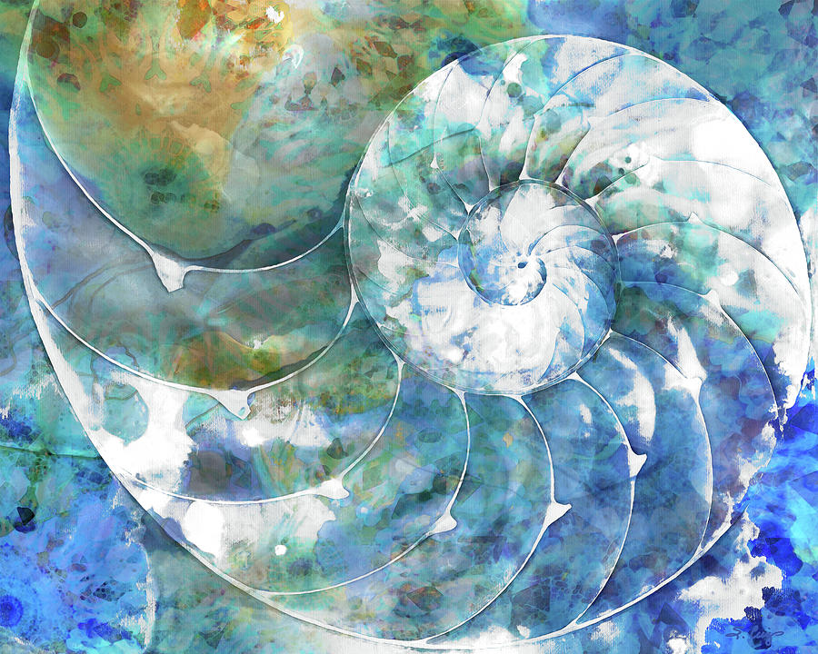 Beach Nautilus Shell Art - Sea Swept Painting by Sharon Cummings