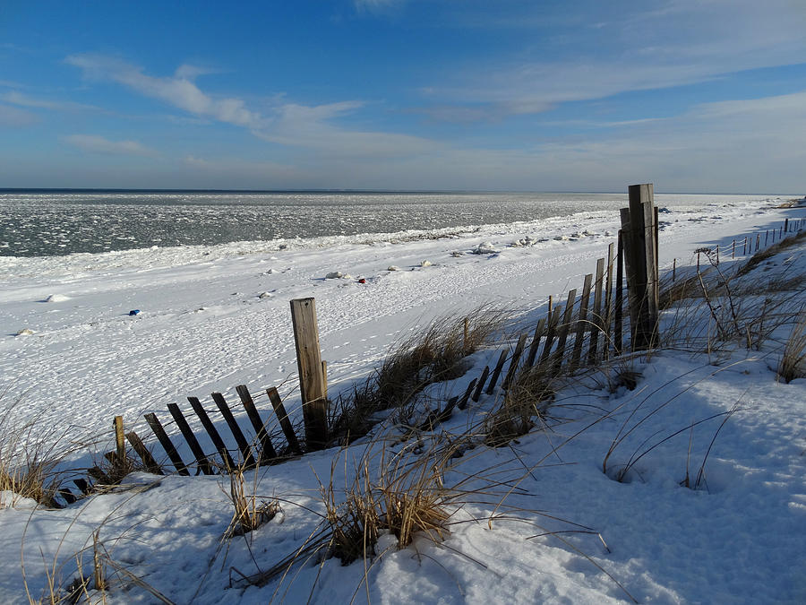 Frozen Beach on a Winter Morning Photograph by Dianne Cowen Cape Cod Photography