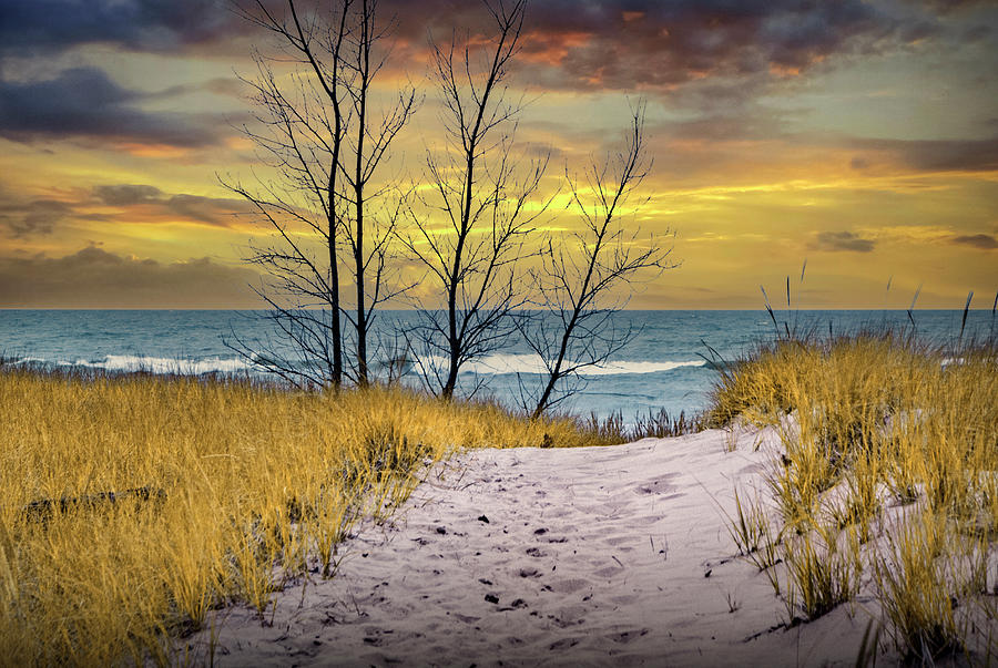 Beach on Lake Michigan at Sunset by Holland Michigan with Dune G Photograph by Randall Nyhof