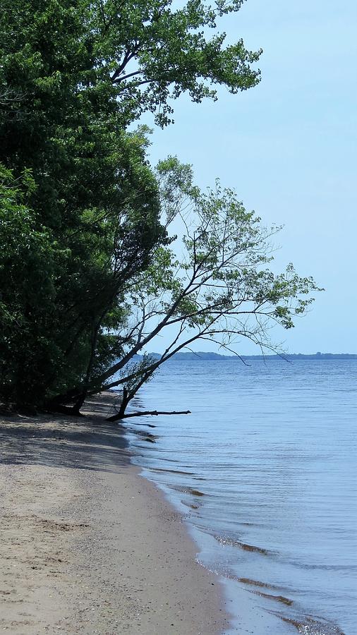 Beach On Petenwell Lake Photograph by Kay Novy - Pixels