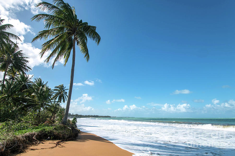 Beach Paradise, Pinones, Puerto Rico Photograph by Beachtown Views