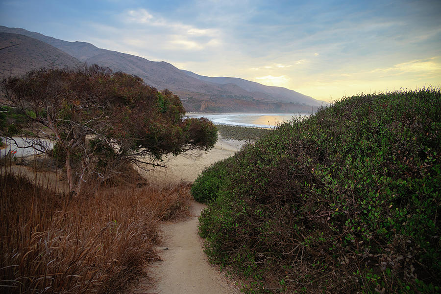 Beach Path at Leo Carrillo State Beach Photograph by Matthew DeGrushe