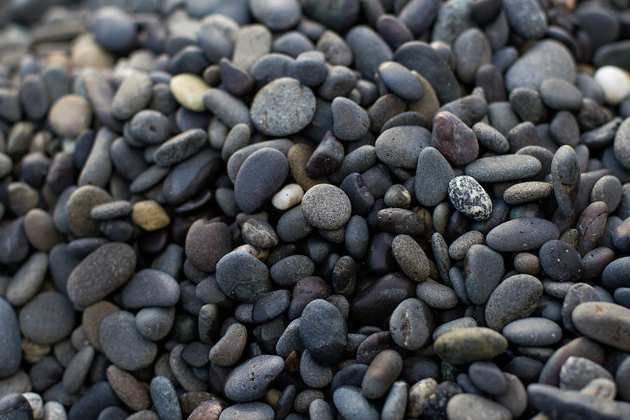Beach Pebbles Photograph by Stephanie Hobbs