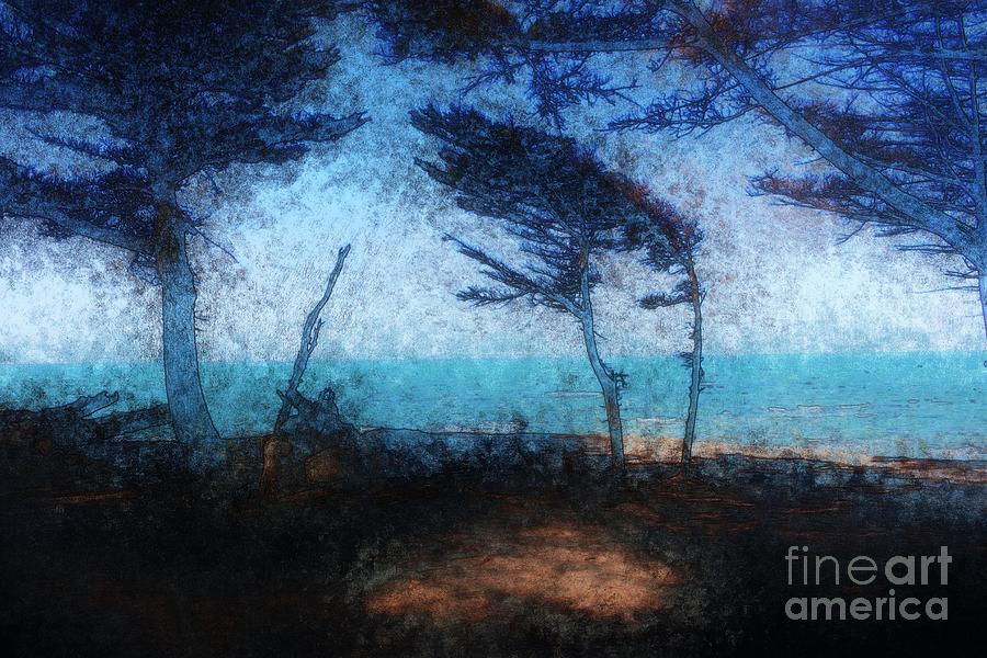 Beach Pines In The Breeze Photograph