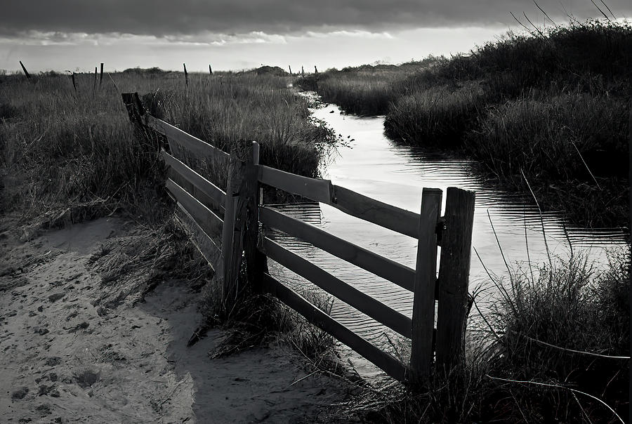 Beach Prairie Photograph by Bill Posner