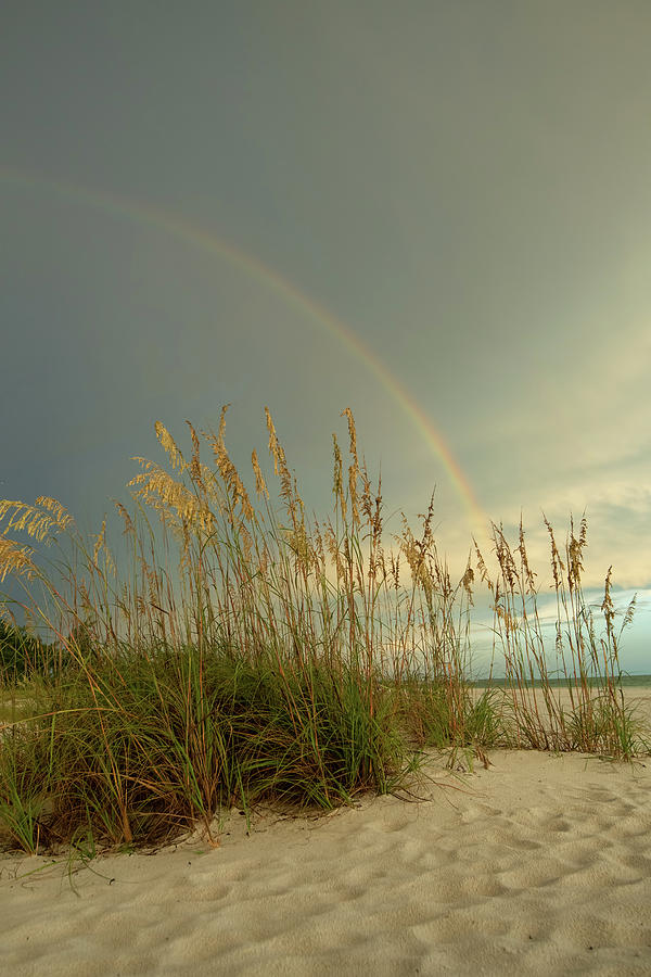 Beach Rainbow Photograph by Carolyn Hutchins