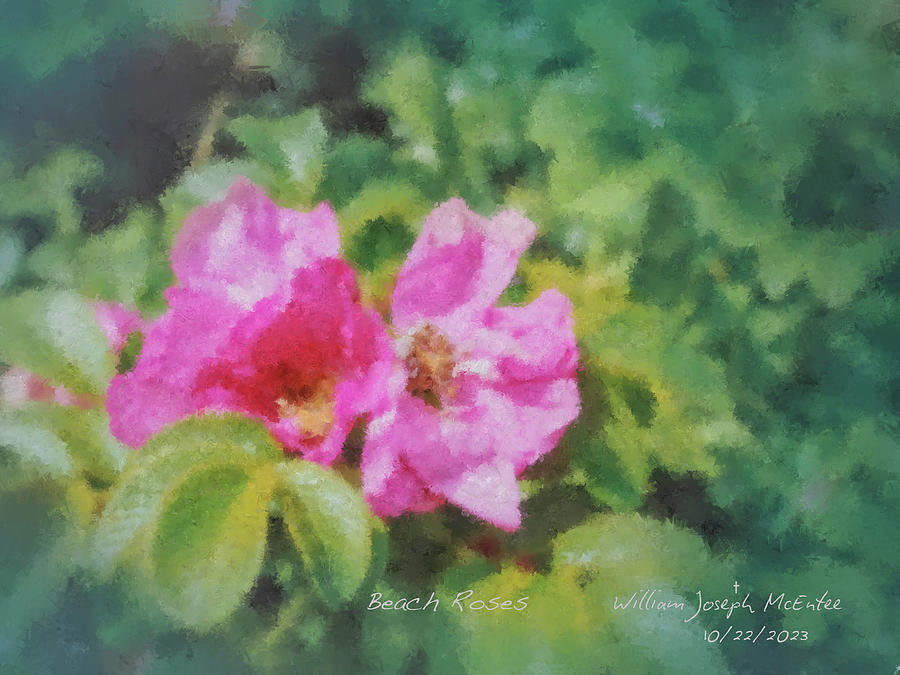 Beach Roses Painting by Bill McEntee