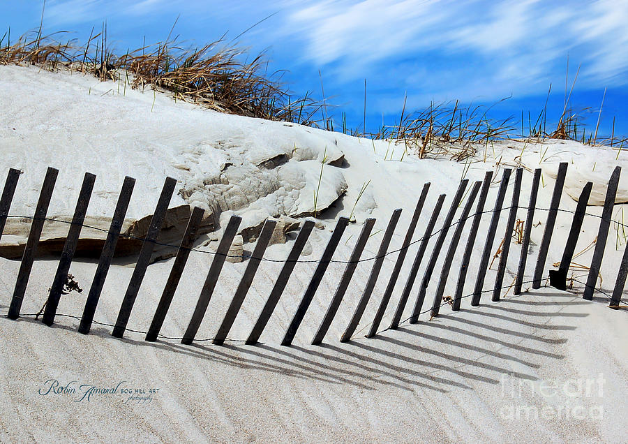 Beach Sand Dune Fence Photograph by Robin Amaral