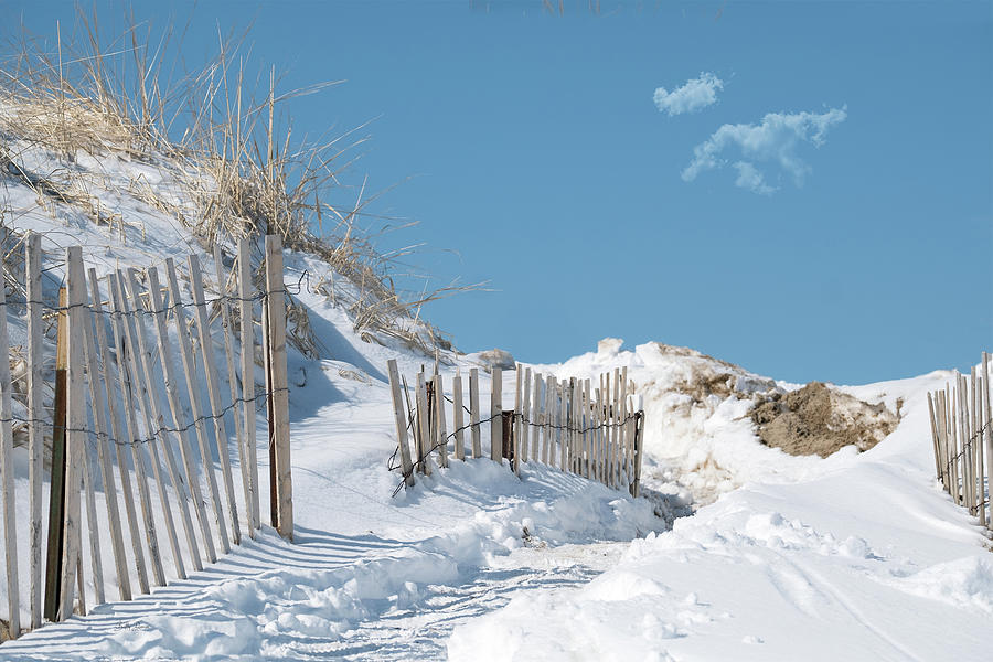 Winter Photograph - Beach Sand Dune Fencing in the Snow by Betty Denise