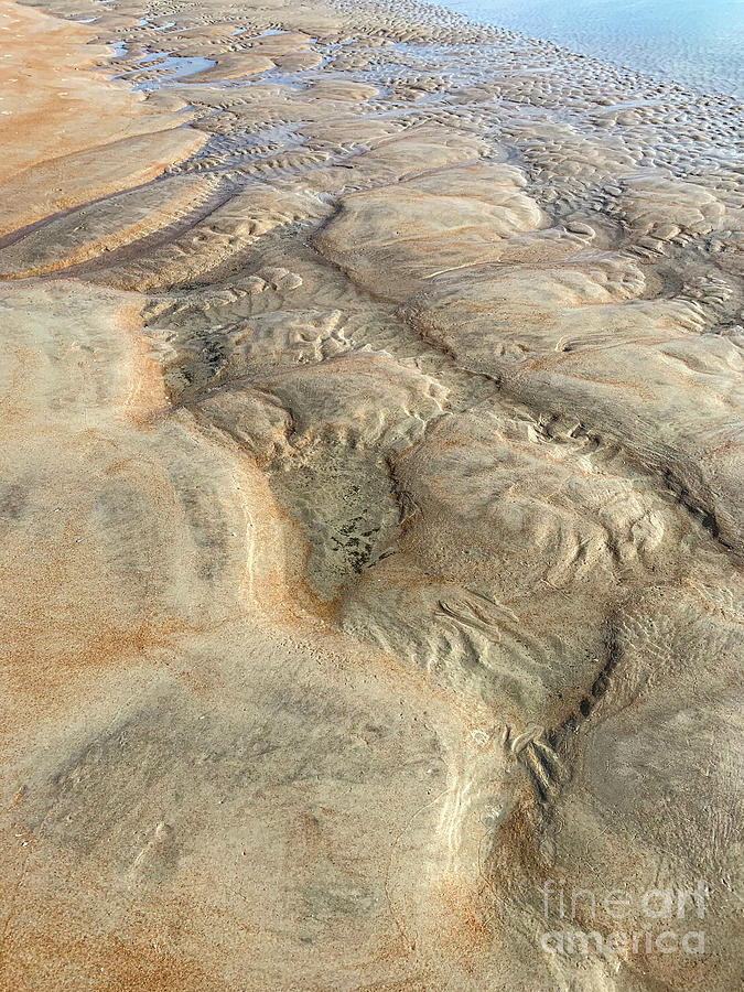 Beach Sand Rippled Fingerprints  Photograph by David Zanzinger