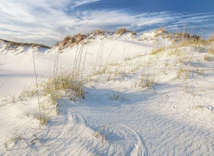 Paradise on the Beach Photograph by Bill Chambers - Fine Art America