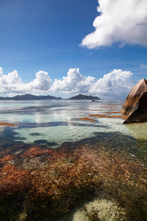 Beach scene on an Indian Ocean Island Photograph by OceanFishing