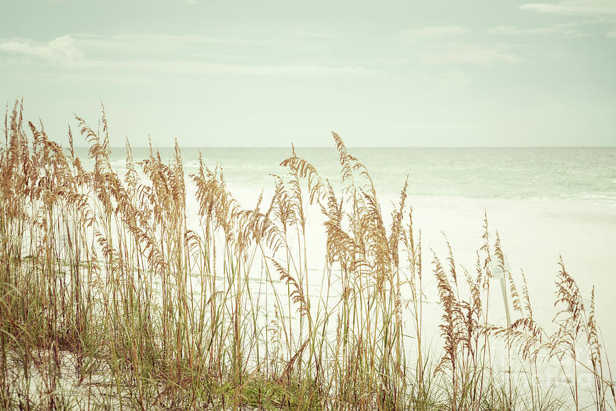 Beach Sea Oats Grass Pensacola Florida Beachscape Retro Photo Photograph by Paul Velgos