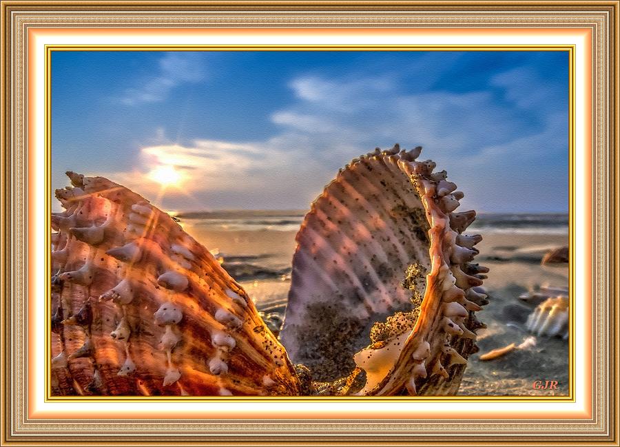 Beach Shell Find With Sunrise Fantasia L A S - With Printed Frame. Digital Art
