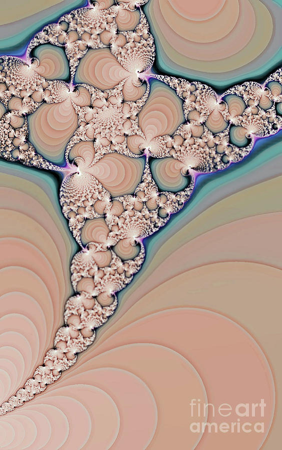 Fractals Digital Art - Beach Shells by Elaine Manley Fractals Digital Art - Beach Shells by Elaine Manley