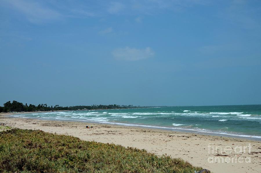Tree Photograph - Beach shoreline with surf sand waves in Jaffna peninsula Sri Lanka by Imran Ahmed