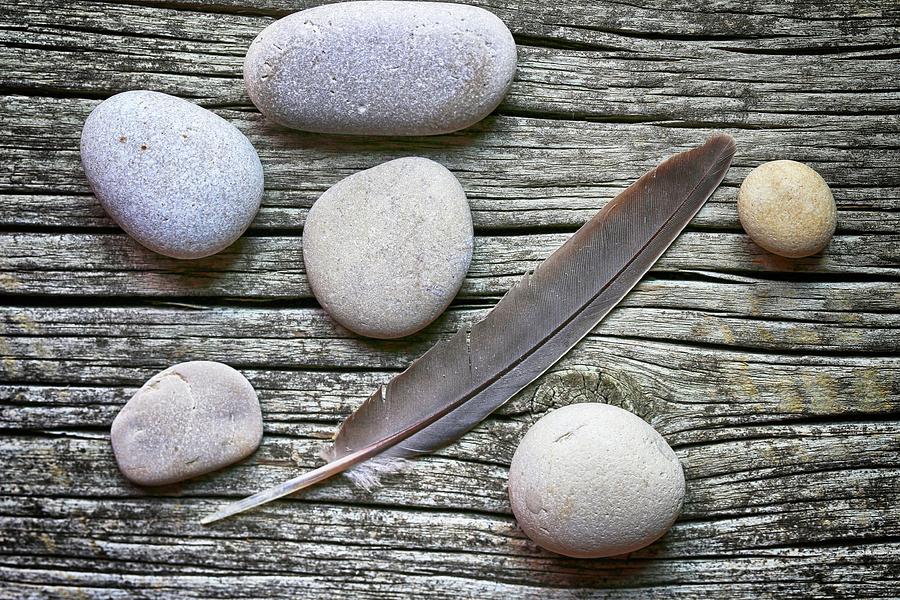 Beach Stones and Feather 1 071723 Photograph by Mary Bedy