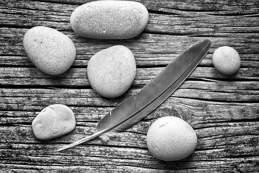 Beach Stones and Feather 1 BW 071723 Photograph by Mary Bedy