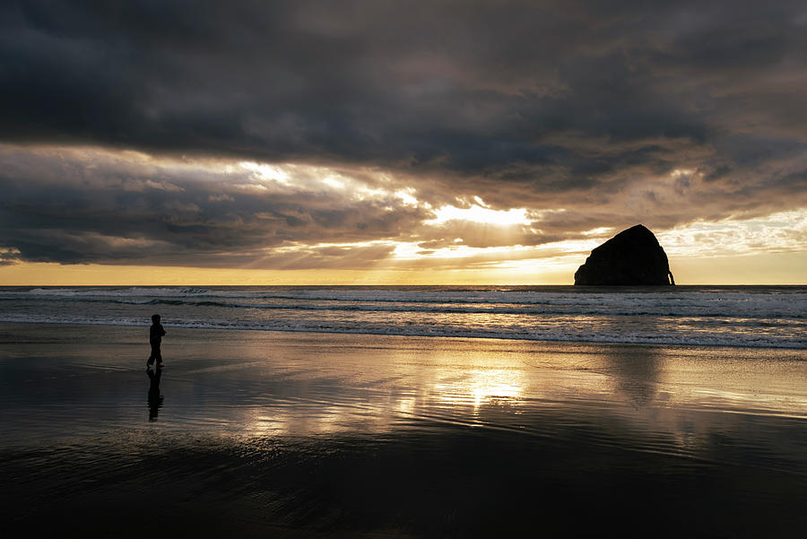 Beach Sunlight Photograph by Steven Clark