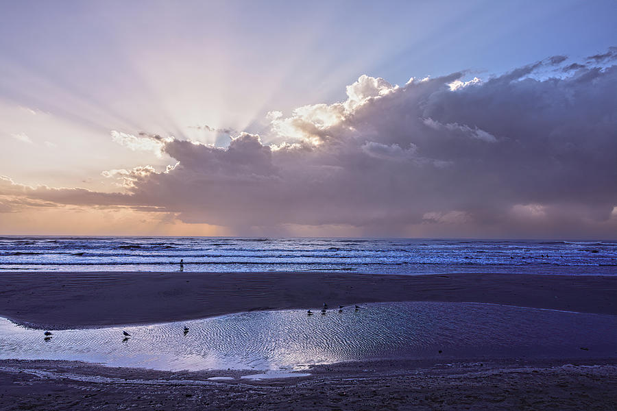 Beach Sunrise After High Tide Photograph by Debra Martz