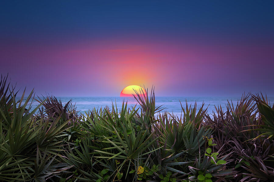 Beach Sunrise Photograph by Mark Andrew Thomas