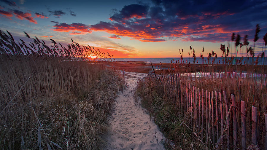 Beach Sunset and Fence Art Print Photograph by Darius Aniunas