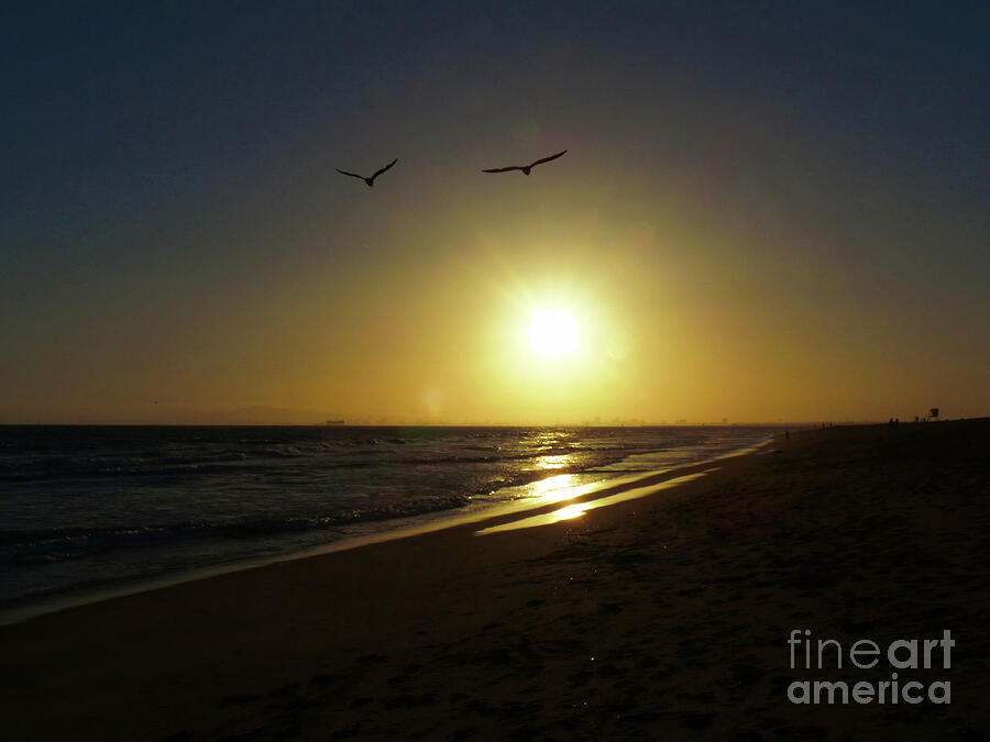 Sunset Photograph - Beach Sunset by Connie Sloan