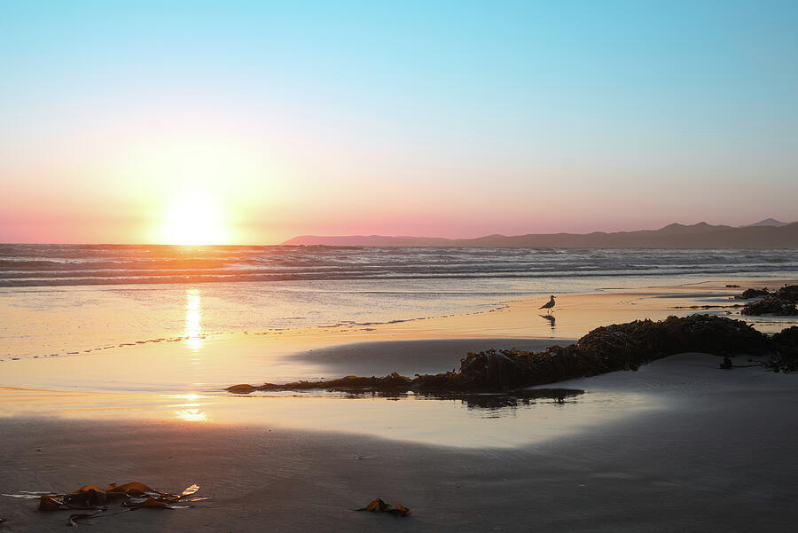 Beach Sunset in Morro Bay Photograph by Matthew DeGrushe