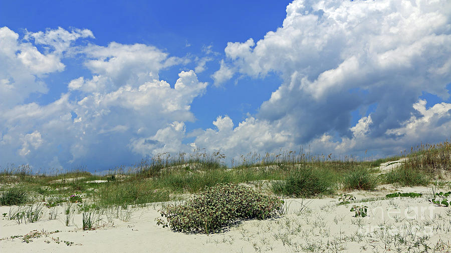 Beach Textures Photograph by Mary Haber