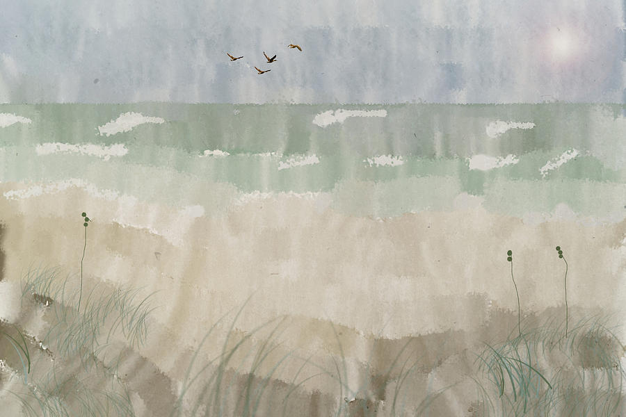 Beach View with Birds Mixed Media by Alison Frank