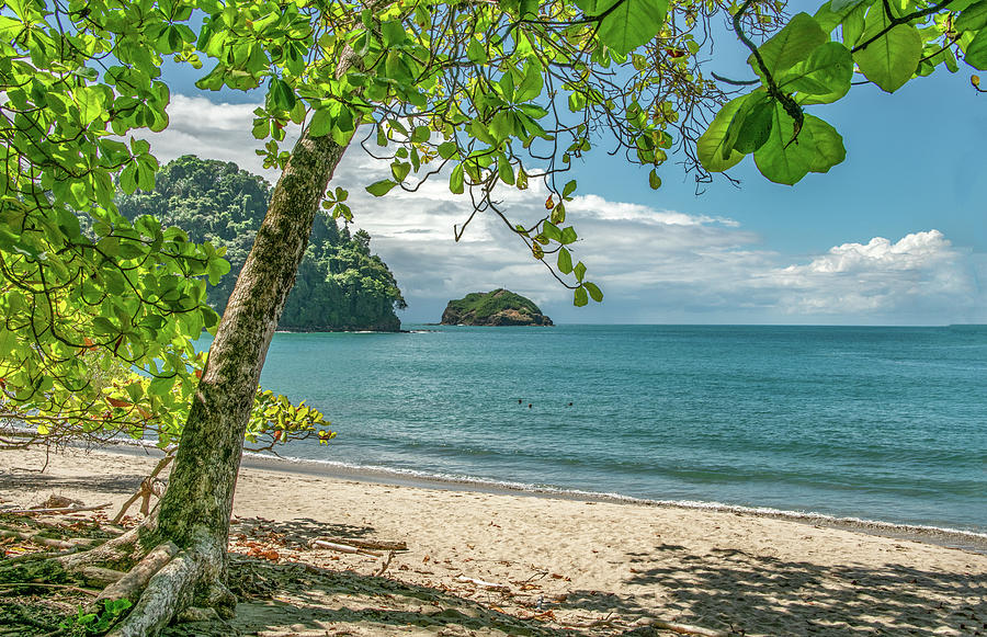 Beach Walk, Costa Ricas Manuel Antonio Photograph by Marcy Wielfaert