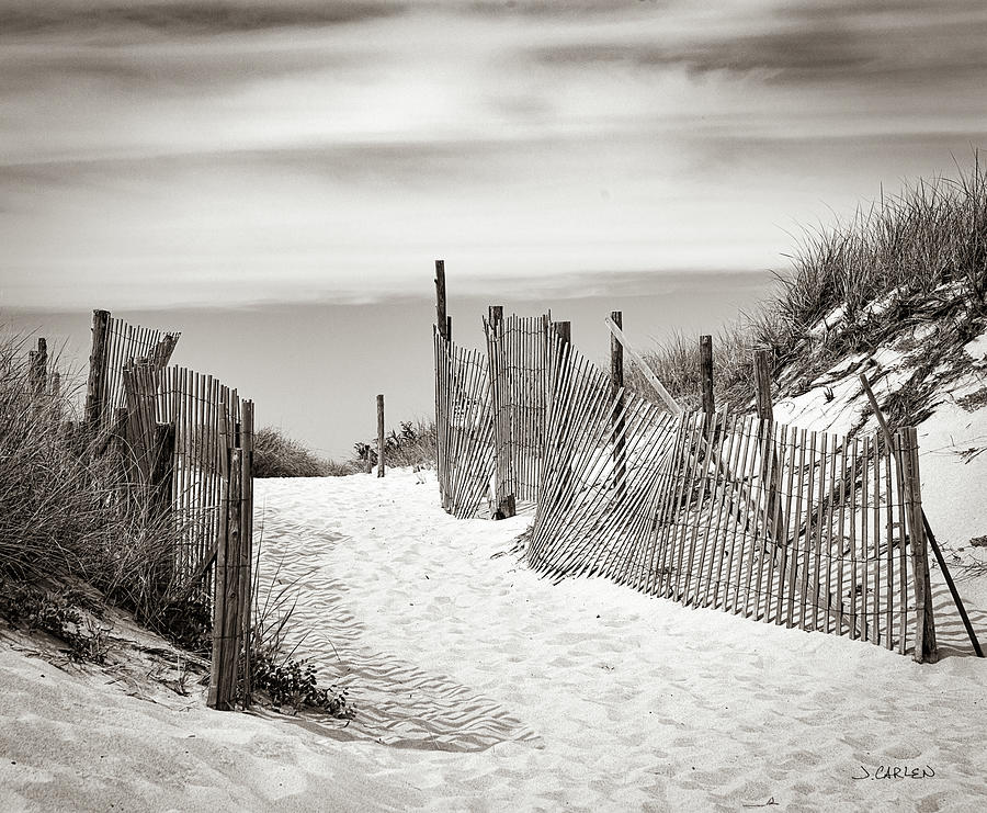 Beach Walk Photograph by Jim Carlen
