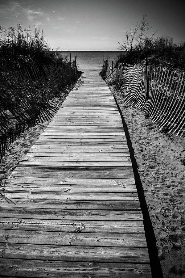 Beach Walkway Digital Art By Nicole Mcneil Pixels