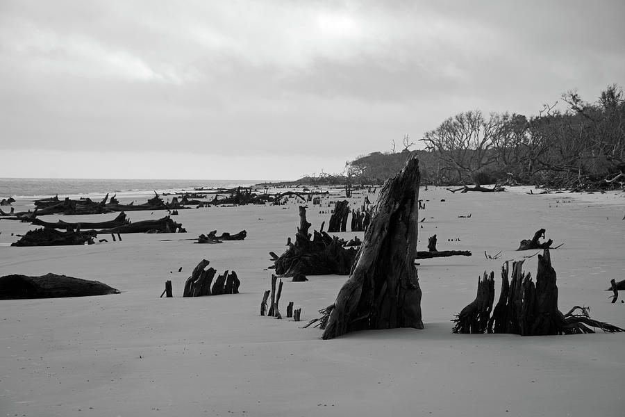 Beach Wilderness Black and White Photograph by Bruce Gourley