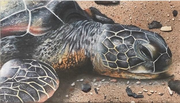 Oceans Painting - Beachcomber - Green Sea Turtle by Mary Ellen Gerster Oceans Painting - Beachcomber - Green Sea Turtle by Mary Ellen Gerster