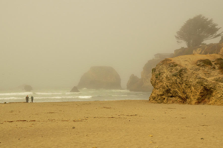 Beachcombing In The Fog Photograph by Frank Wilson