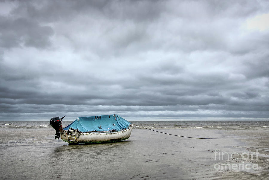 Beached Blues Photograph