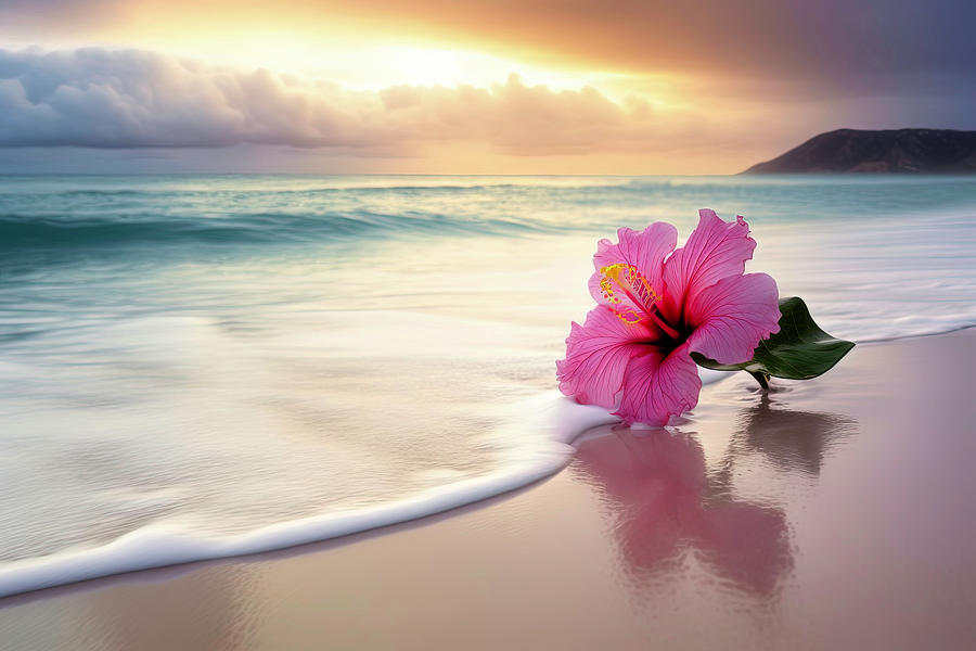 Beached Hibiscus Flower Photograph by Athena Mckinzie