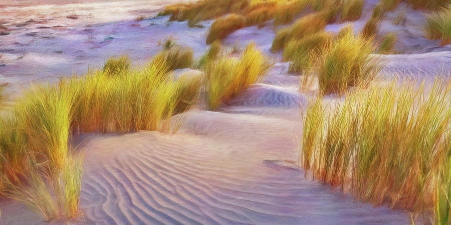 Beachgrass Digital Art by Russ Harris